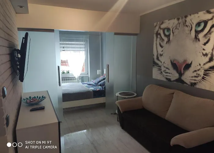 Apartament Tygrys